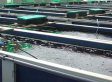 fish farm